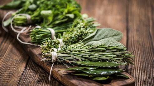 Healthiest Ayurvedic Herbs For The Changing Weather