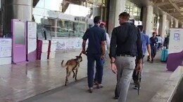 जयपुर एयरपोर्ट पर फिर आया धमकी भरा मेल, लिखा- टर्मिनल बिल्डिंग में बम है, सभी मारे जाएंगे... सर्च जारी