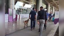 Jaipur Airport Bomb Threat: जयपुर एयरपोर्ट पर बम धमाके की धमकी, शुरू हुआ सर्च ऑपरेशन