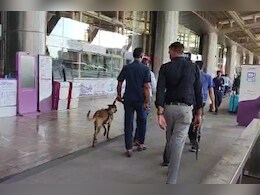 Jaipur Airport Bomb Threat: जयपुर एयरपोर्ट पर बम धमाके की धमकी, शुरू हुआ सर्च ऑपरेशन Jaipur Airport Bomb Threat: जयपुर एयरपोर्ट पर बम धमाके की धमकी, शुरू हुआ सर्च ऑपरेशन
