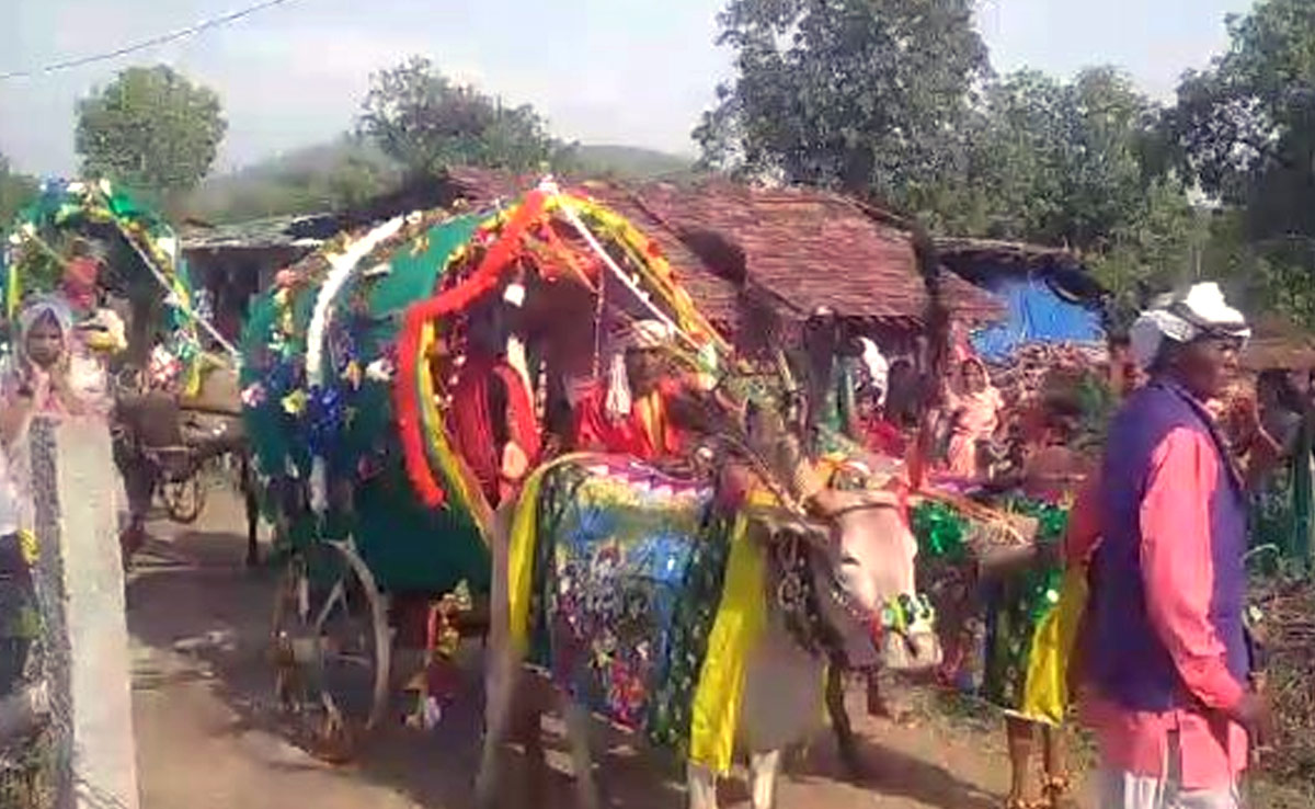 अनोखी शादी: बारात ऐसी कि सब देखते रह गए, दुल्हन को लेने बैलगाड़ी से पहुंचा दूल्हा, देखें वीडियो