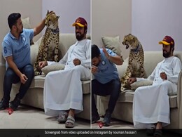पाकिस्तानी शख्स पर पालतू चीते ने किया अटैक, दहाड़ते हुए मारा पंजा, यूजर्स बोले- तुम इसी के लायक हो... पाकिस्तानी शख्स पर पालतू चीते ने किया अटैक, दहाड़ते हुए मारा पंजा, यूजर्स बोले- तुम इसी के लायक हो...