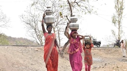 Nandurbar News: नंदुरबार जिल्ह्याला पाणी टंचाईच्या झळा, जलसाठ्यांनी तळ गाठला, किती पाणीसाठी शिल्लक?