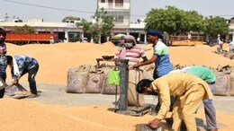 राजस्थान की 247 मंडियों में चार दिन की हड़ताल, ठप हो सकता है खाद्य व्यापार&nbsp;