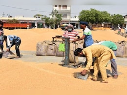 Rajasthan Mandi: उड़द, सरसों और मूंग के बढ़े भाव, जानें मंडी में अनाज के दाम Rajasthan Mandi: उड़द, सरसों और मूंग के बढ़े भाव, जानें मंडी में अनाज के दाम