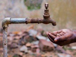 50% Of Global Food Production At Risk Due To Water Crisis: Report 50% Of Global Food Production At Risk Due To Water Crisis: Report