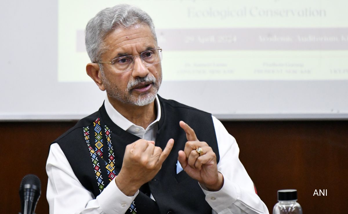 India Now Seen as "Friendly, Fair", But Also "Firm And Fiery": S Jaishankar