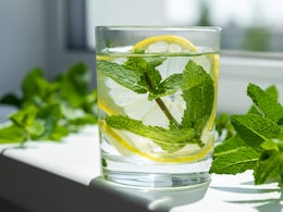 Foods For Summer Season: दही, पुदीना समेत गर्मियों में जरूर खाना चाहिए ये चीजें, डाइटीशियन से जानिए यहां