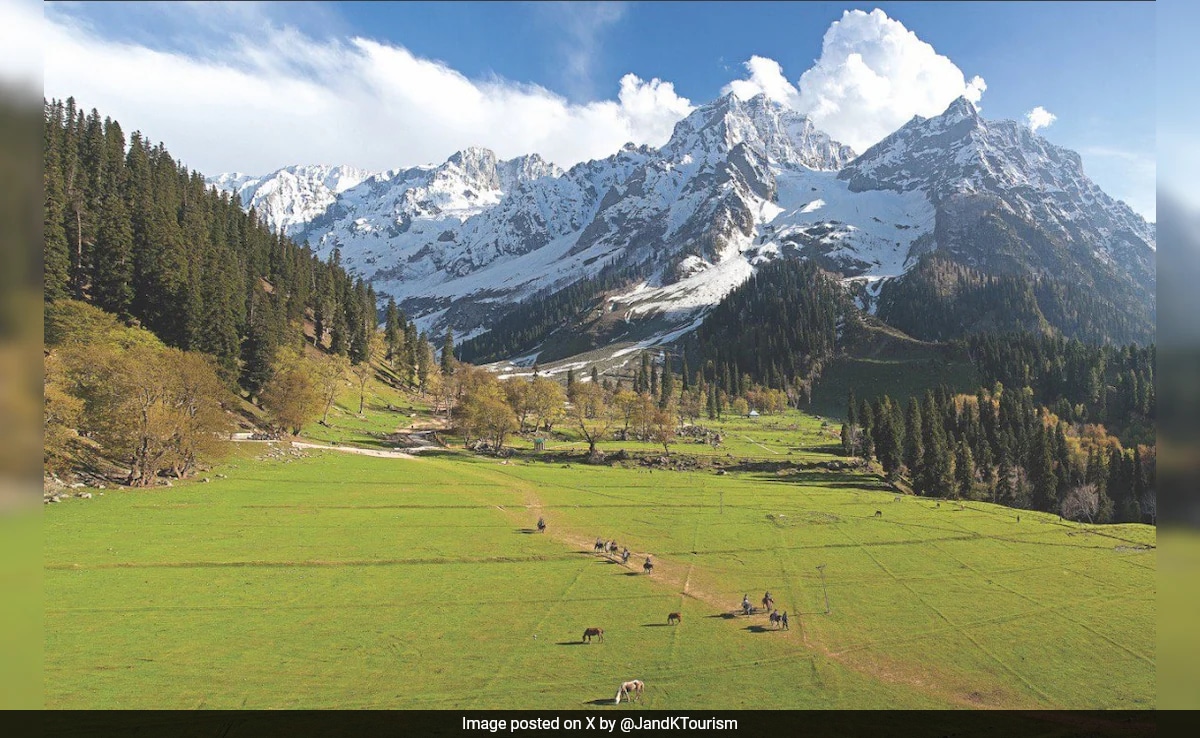 1.25 Million Tourists And Counting In 2024 So Far - Kashmir To Set New Record