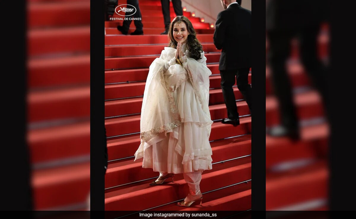 Cannes 2024: Stop, Wait And See Punjabi Singer Sunanda Sharma's Red Carpet Debut