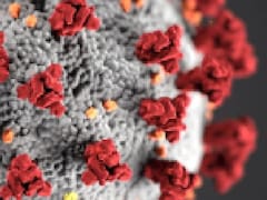 इस साल मंकीपॉक्स, बर्ड फ्लू से लेकर कोरोना के नए वेरिएंट्स ने किया परेशान, डेंगू ने भी बरपाया कहर