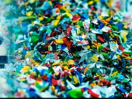 Human Brains Contain A Spoon's Worth Of Nanoplastics, New Study Suggests Human Brains Contain A Spoon's Worth Of Nanoplastics, New Study Suggests