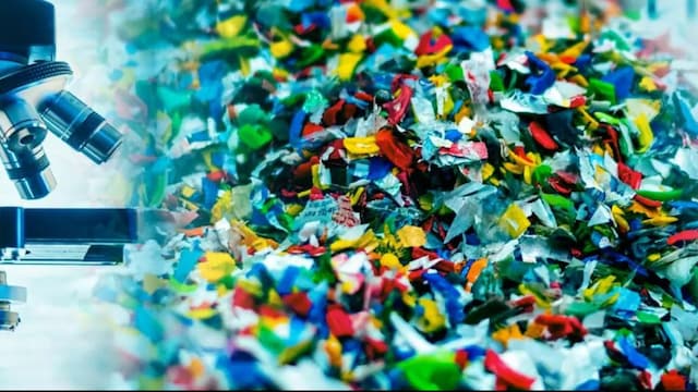 Since microplastics are persistent in the body they accumulate over time leading health issues