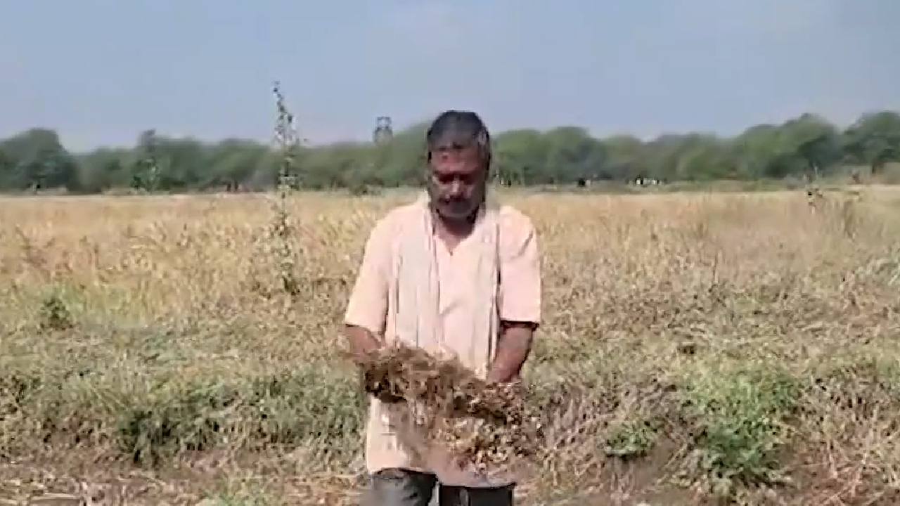 छत्तीसगढ़ के इन 50 हजार किसानों को आखिर कब मिलेगा मुआवजा?