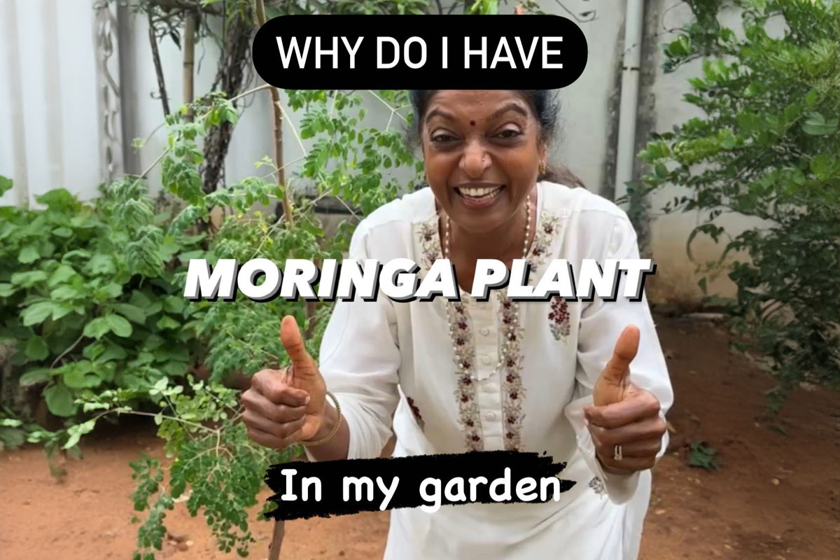 Discover the Power of Moringa Leaves: Grow Your Own Superfood at Home
