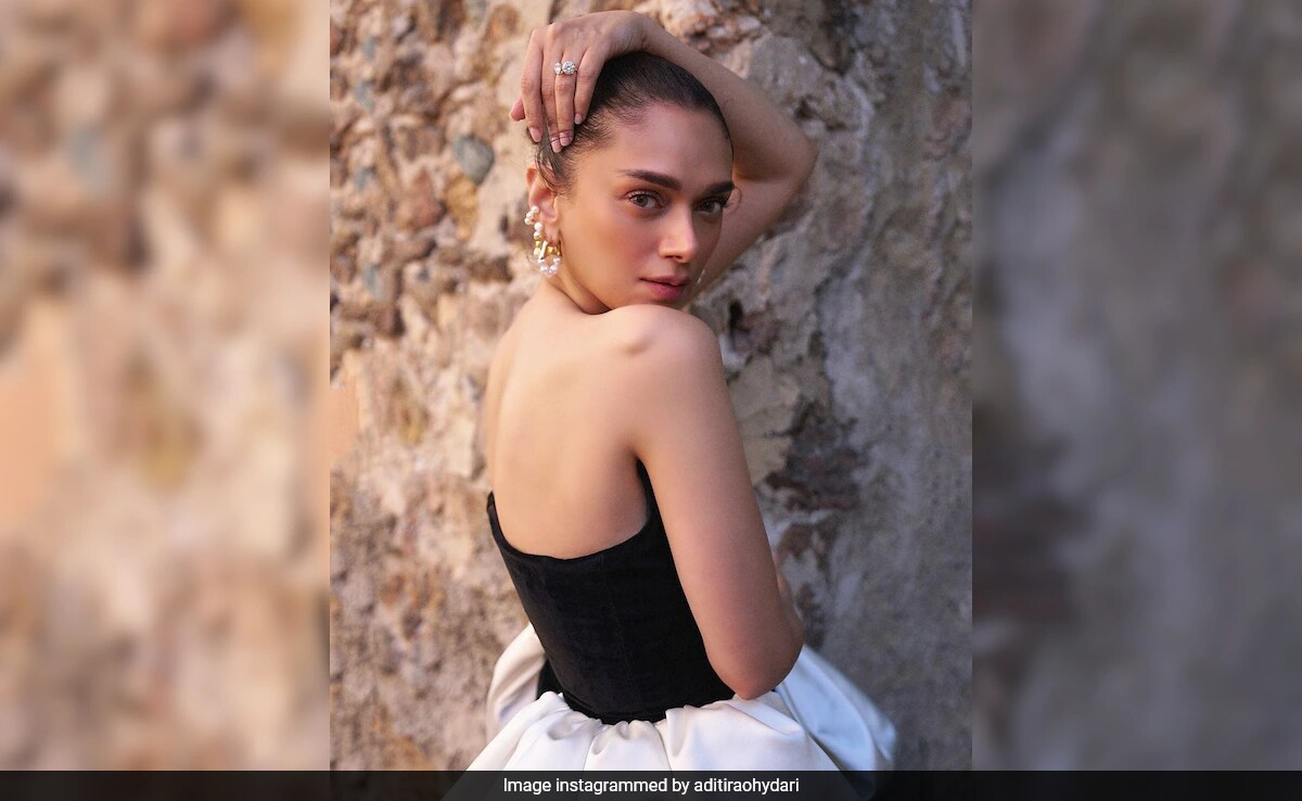 Cannes 2024: Siddharth's One-Word Reaction To Fiancee Aditi Rao Hydari's Red Carpet Look