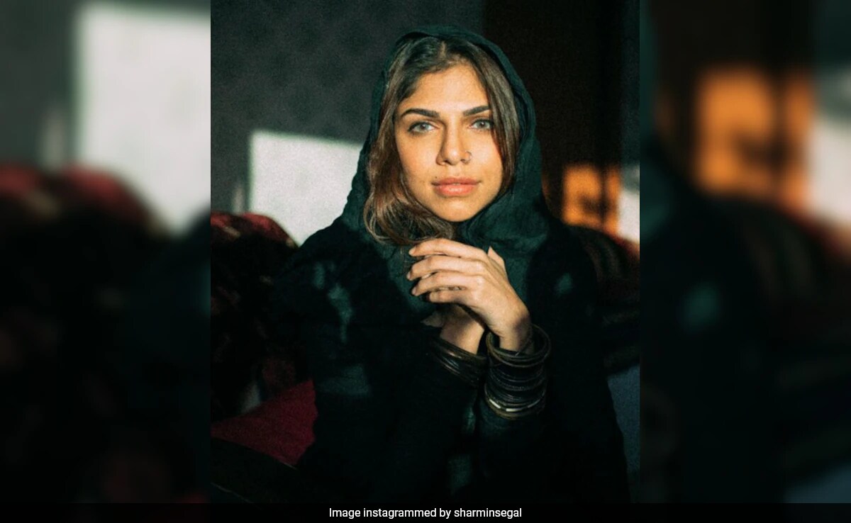 Shekhar Suman On <i>Heeramandi</i> Co-Star Sharmin Segal Being Trolled: "World Has Been Too Harsh On The Poor Little Thing"