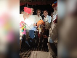 Rajasthan: फलोदी के इस गांव में हुई बछड़े-बछड़ी की अनोखी शादी, पूर्णिमा को होने वाले इस विवाह के पीछे हैं कई मान्यताएं Rajasthan: फलोदी के इस गांव में हुई बछड़े-बछड़ी की अनोखी शादी, पूर्णिमा को होने वाले इस विवाह के पीछे हैं कई मान्यताएं