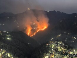 धधक रहे हिमाचल के जंगल : अब तक 1100 जगह लगी आग, करोड़ों की संपदा हुई राख धधक रहे हिमाचल के जंगल : अब तक 1100 जगह लगी आग, करोड़ों की संपदा हुई राख