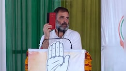 "Will Remove 50% Cap, Give As Much Reservation As Needed": Rahul Gandhi