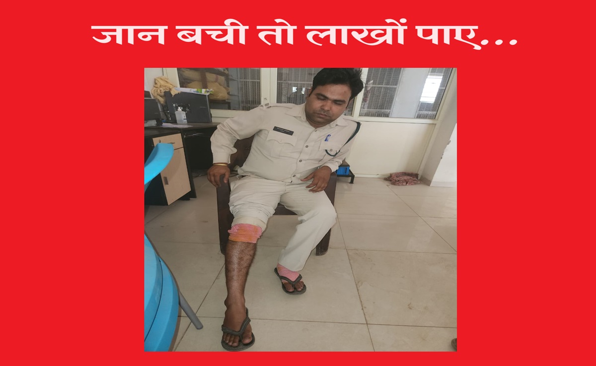 वनरक्षकों पर हमला... जंगल में लाठी, डंडों और पत्थरों से वार, आदिवासियों ने दौड़ा दौड़ाकर क्यों पीटा