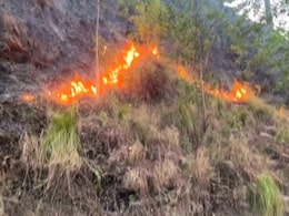 उत्तराखंड : अल्मोड़ा के जंगलों में लगी भीषण आग को बुझाने गए चार वनकर्मियों की मौत उत्तराखंड : अल्मोड़ा के जंगलों में लगी भीषण आग को बुझाने गए चार वनकर्मियों की मौत