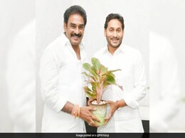 In EVM Smashing Case, YSR Congress MLA Goes To Court For Anticipatory Bail In EVM Smashing Case, YSR Congress MLA Goes To Court For Anticipatory Bail
