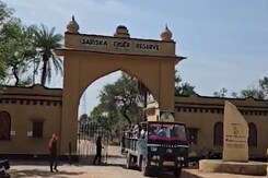 सरिस्का टाइगर रिजर्व को लेकर सुप्रीम कोर्ट का नया आदेश सरिस्का टाइगर रिजर्व को लेकर सुप्रीम कोर्ट का नया आदेश
