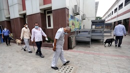 "Bombs In Backpacks, Roadkill, Benji Responsible": 5 Delhi Schools Get Email