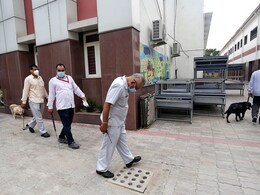 "Bombs In Backpacks, Roadkill, Benji Responsible": 5 Delhi Schools Get Email "Bombs In Backpacks, Roadkill, Benji Responsible": 5 Delhi Schools Get Email