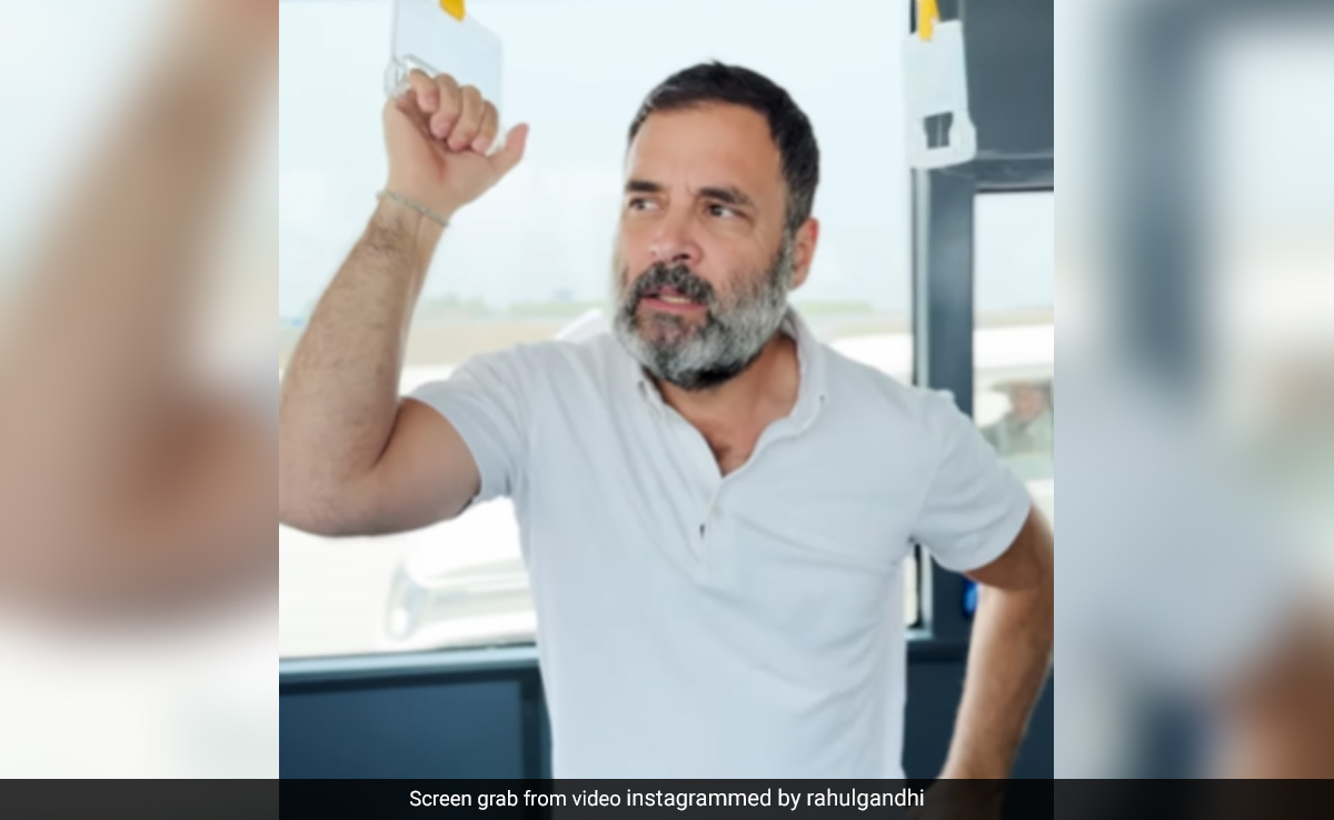 Video: Why Only White T-Shirts, Rahul Gandhi Was Asked. He Said...
