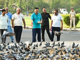 Rajasthan News: CM भजनलाल शर्मा मॉर्निंग वाक पर निकले, कबूरों को डाला दाना; बांधे परिंडे