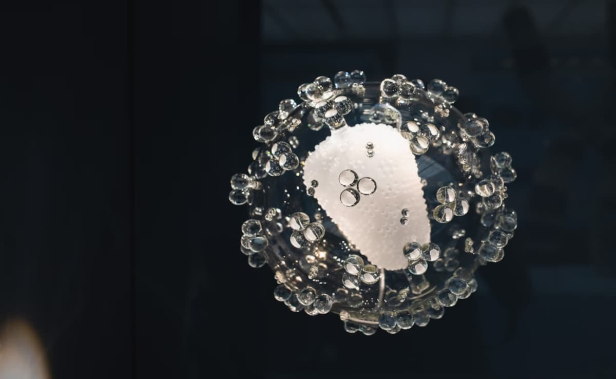 India Launches 1st Indigenous, Low-Cost Gene Therapy For Sickle Cell Disease