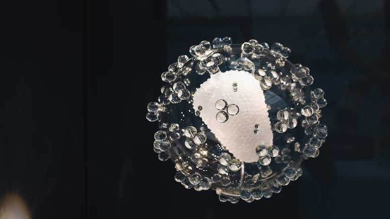 India Launches 1st Indigenous, Low-Cost Gene Therapy For Sickle Cell Disease