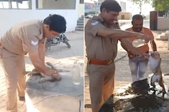 UP Cop Revives Infant Monkey By Giving CPR UP Cop Revives Infant Monkey By Giving CPR