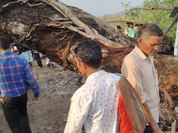 MP में मौसम की मार&nbsp;! तूफान में पेड़ के नीचे दब गई महिला, तड़प-तड़प कर हुई मौत&nbsp;