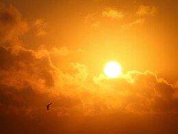 जानलेवा हुई गर्मी ! ग्वालियर में एक दिन में 4 लोगों की मौत, जानें- कहां है कितना तापमान जानलेवा हुई गर्मी ! ग्वालियर में एक दिन में 4 लोगों की मौत, जानें- कहां है कितना तापमान