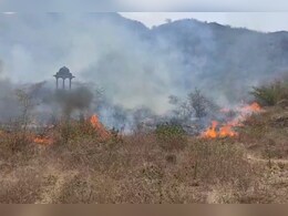 Rajasthan Fire Update: आमेर के जंगल में लगी आग, कड़ी मशक्कत के बाद दमकल विभाग ने पाया काबू