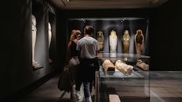 Controversy Erupts In Mexico After Museum Staff Accidentally Break Arm Off 19th-Century Mummy