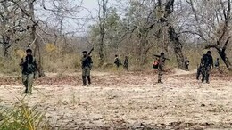 Narayanpur में नक्सलियों ने बिछाया था 10 आईईडी का खौफनाक जाल, सुरक्षाबलों ने&nbsp;बड़ी साजिश को किया नाकाम