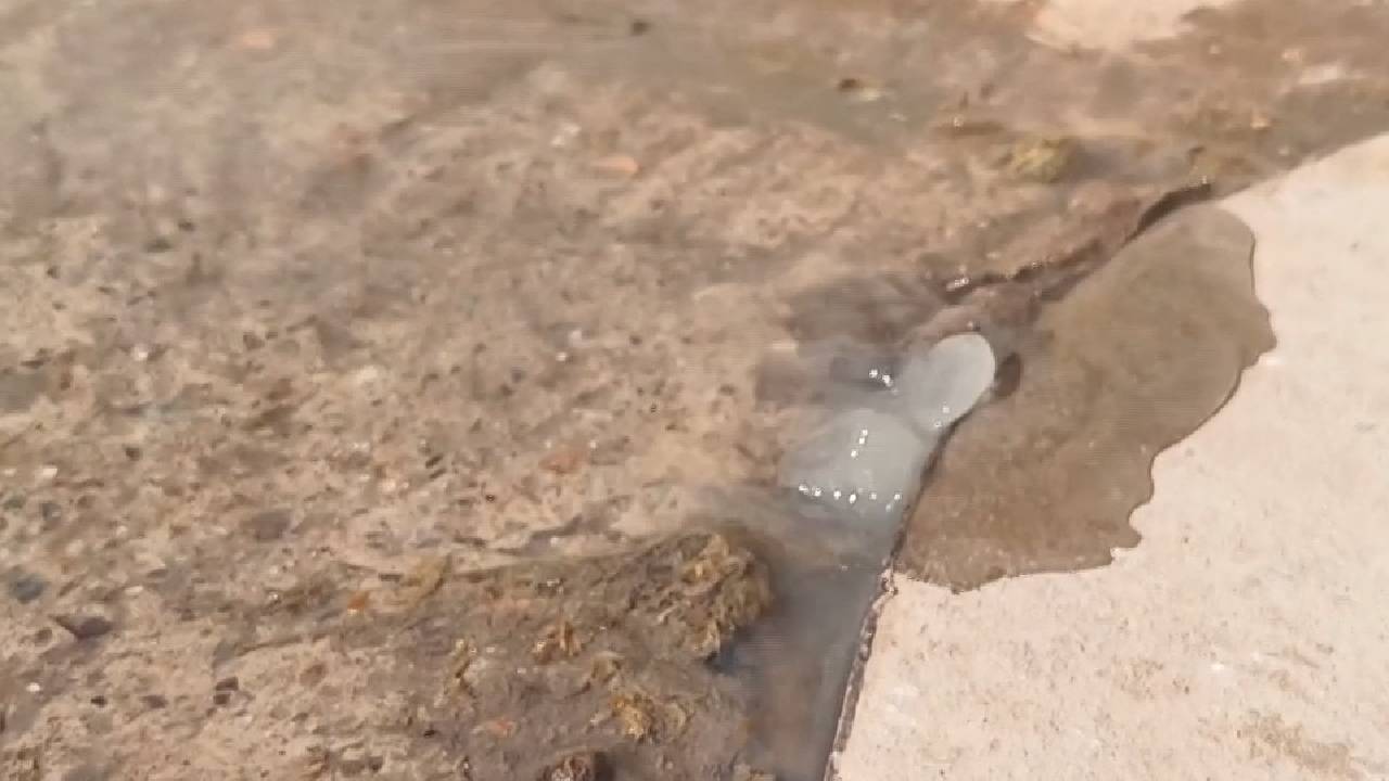 सरदारशहर में गंदे पानी की बदबू से महामारी का खतरा, कैसे दूर होगी परेशानी?