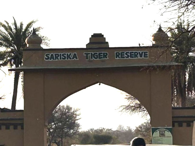 No Mining Activity Around Sariska Tiger Reserve: Supreme Court's Big Order