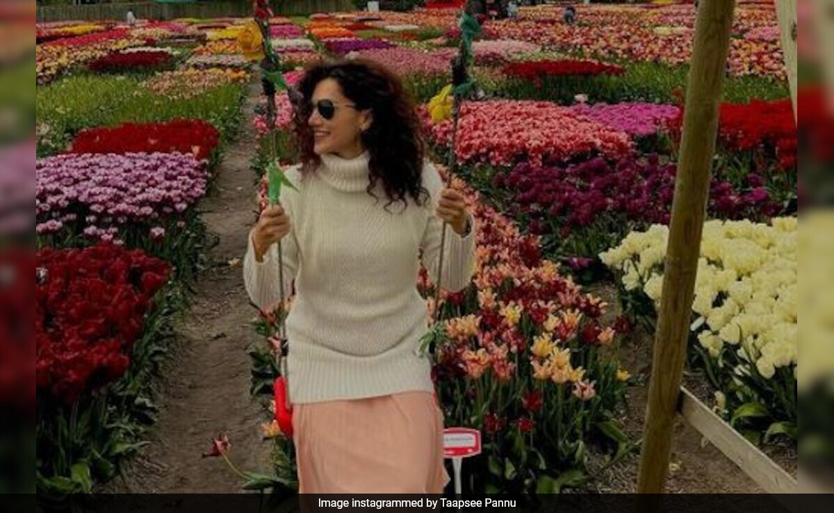 Taapsee Pannu's Tulip-Filled Postcards All The Way From Amsterdam: "When Flower Is Truly Your Power..." Taapsee Pannu's Tulip-Filled Postcards All The Way From Amsterdam: "When Flower Is Truly Your Power..."