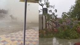 राजस्थान में होली पर बदला मौसम का मिजाज, तेज हवा...बारिश और पड़ रहे ओले; किसानों की बढ़ी चिंता