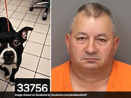 US Man Accused Of Beheading Dog He Adopted From Shelter One Day Earlier US Man Accused Of Beheading Dog He Adopted From Shelter One Day Earlier