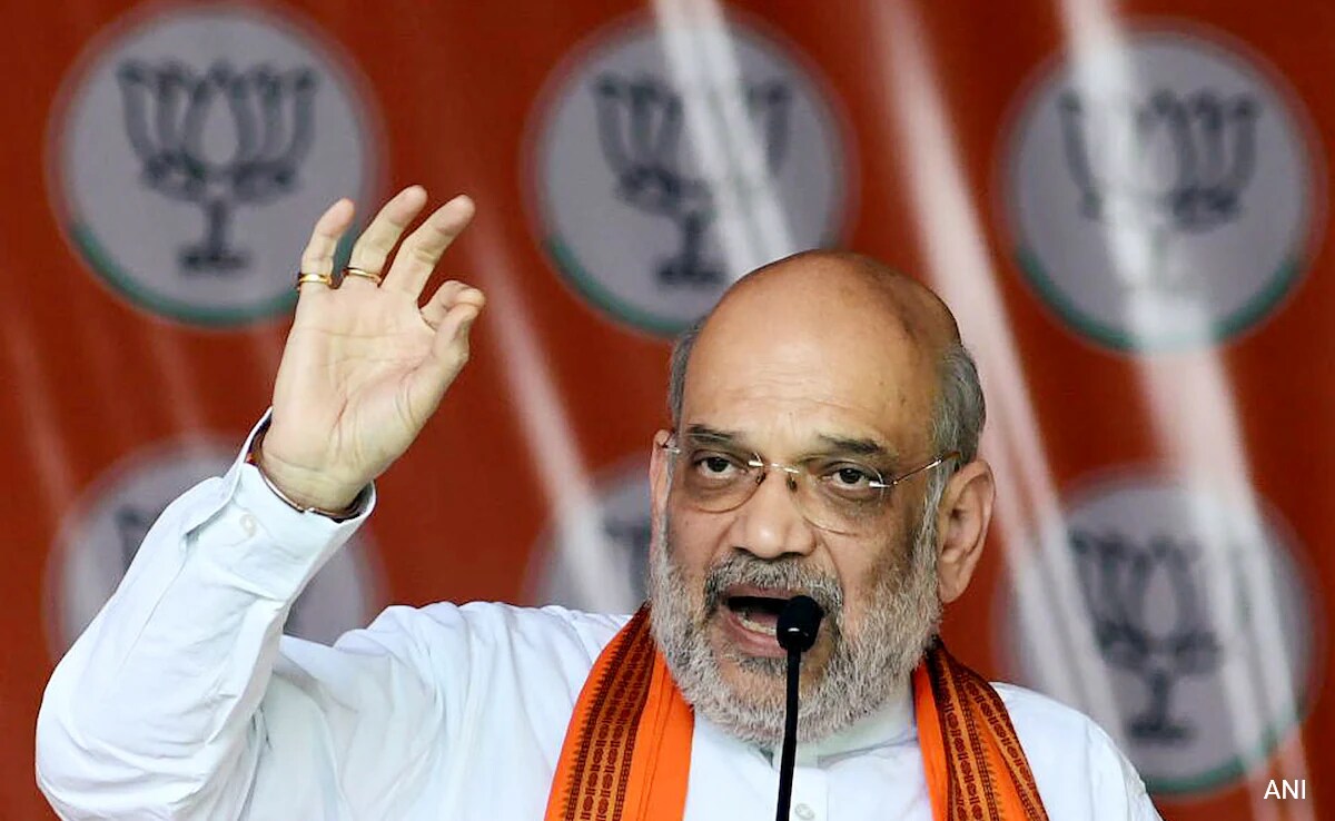 Family Members Of Terrorists, Stone Pelters Won't Get Government Job In J&K: Amit Shah