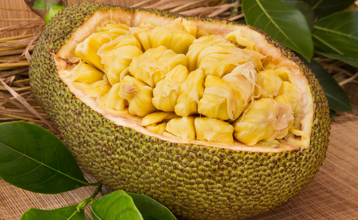 Drunk On Jackfruit? Kerala Driver Fails Breathalyser Test After Eating Fruit
