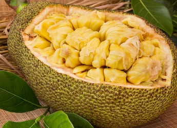 Drunk On Jackfruit? Kerala Driver Fails Breathalyser Test After Eating Fruit