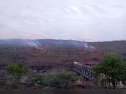 आग की जद में राजस्थान, मुकुंदरा टाइगर रिजर्व और डीग के पहाड़ों पर उठ रहीं लपटें आग की जद में राजस्थान, मुकुंदरा टाइगर रिजर्व और डीग के पहाड़ों पर उठ रहीं लपटें