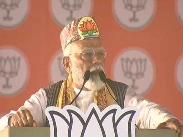 "One Prince In Delhi, Another In Bihar": PM's Jibe At Rahul Gandhi, Tejashwi Yadav